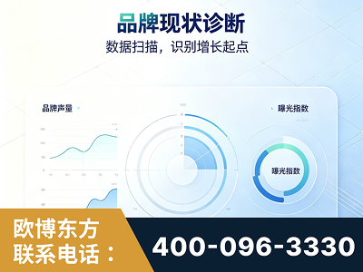 肇东-品牌现状诊断