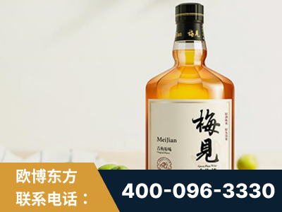 肇东-梅见青梅酒